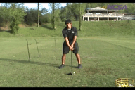 Video of Spring 2012