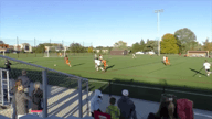 Video of 2021 Spotlight