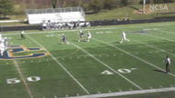 Video of Early Spring 2018 Highlights