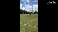 Video of 2019 Highlights 