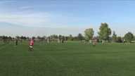 Video of 2021 Spotlight
