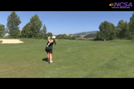 Video of 2012 Skills