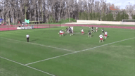 Video of 2018 Highlights