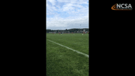 Video of 2019 Highlights