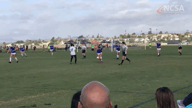 Video of 2019 Highlights
