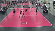 Video of 2017 Highlights