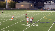Video of 2024 Highlights