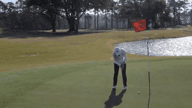 Video of 2020 Spotlight