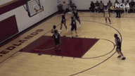 Video of 2020 Highlights