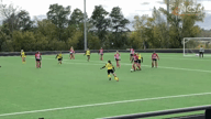 Video of 2019 Highlights