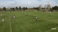 Video of 2020 Highlights