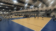 Video of 2021 Spotlight
