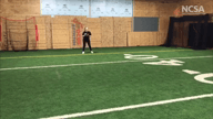 Video of March 2020