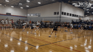 Video of 2023 Highlights