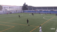 Video of 2021 Spotlight 