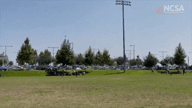 Video of 2022 Highlights	