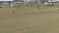 Video of 2019 Highlights
