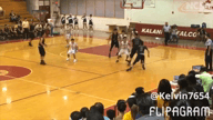 Video of 2017 Highlights