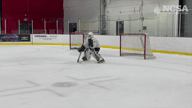 Video of 2023 Highlights