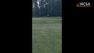 Video of June 2019