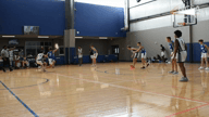 Video of 2020 Highlights