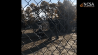 Video of December 2019