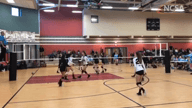 Video of 2019 Highlights