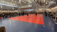 Video of 2024 Highlights