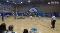 Video of 2023 Highlights