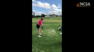 Video of March 2019