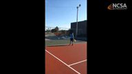 Video of January 2017