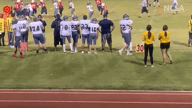 Video of 2020 Highlights
