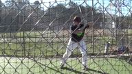 Video of February 2014