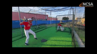 Video of February 2020