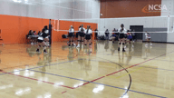 Video of 2020 Highlights