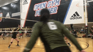 Video of 2019 Highlights