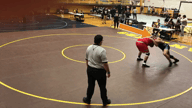 Video of 2020 Highlights