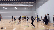 Video of 2025 Spotlight