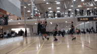 Video of 2019 Highlights