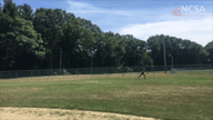 Video of July 2018 