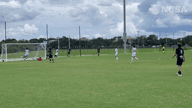 Video of 2024 Highlights