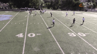 Video of 2019 Highlights