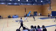 Video of 2024 Highlights 