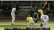 Video of 2023 Highlights
