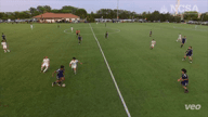 Video of 2023 Highlights 