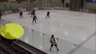 Video of 2019 Highlights
