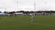 Video of 2020 Highlights