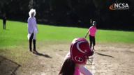 Video of 2020 Highlights
