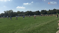 Video of 2018 Highlights