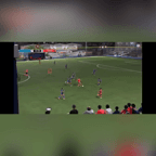 Video of 2023 Spotlight